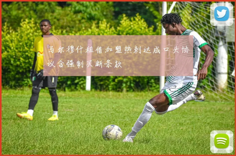 马尔穆什租借加盟热刺达成口头协议含强制买断条款